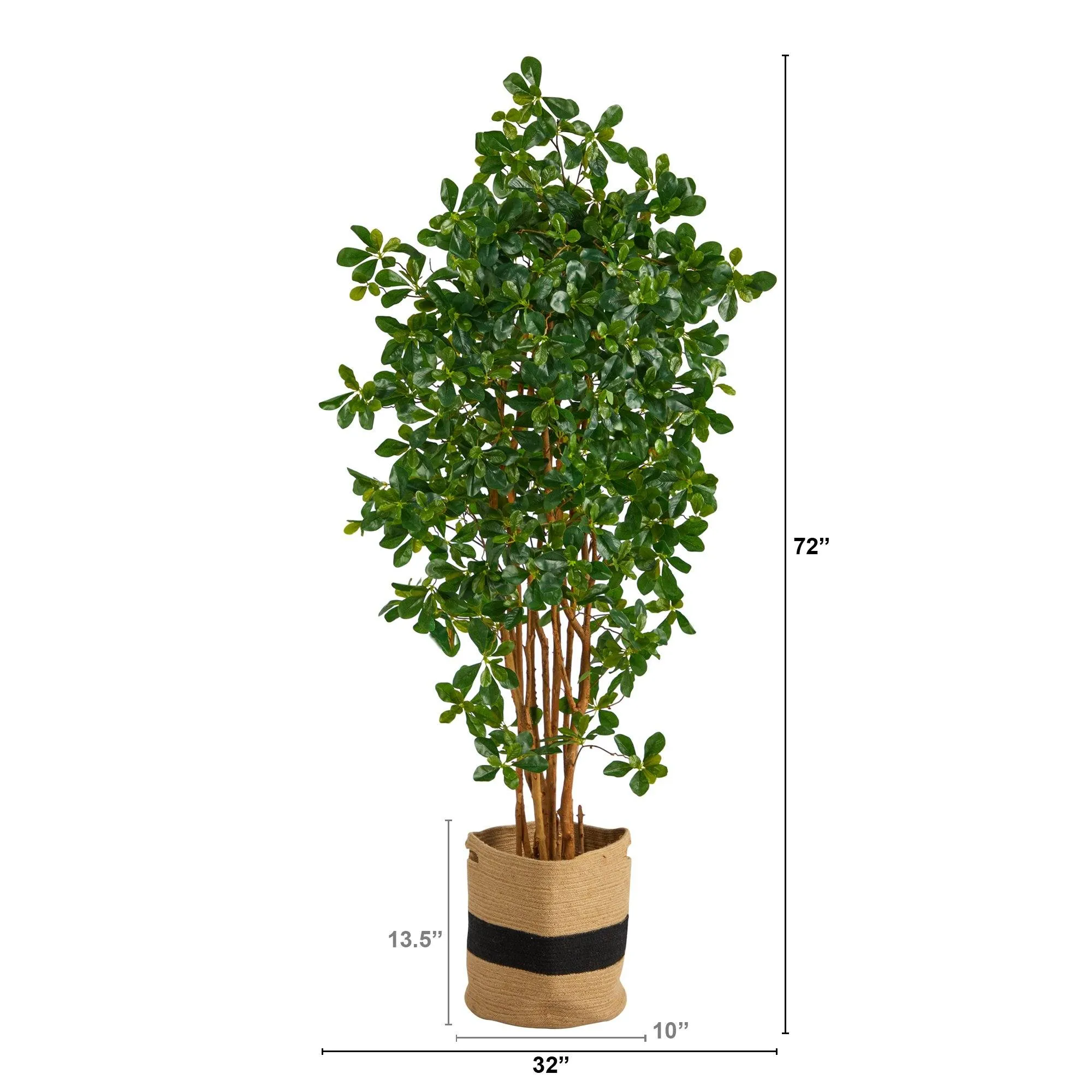 6’ Black Olive Artificial Tree in Handmade Natural Cotton Planter