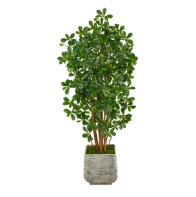 67" Artificial Black Olive Tree with 1365 Bendable Leaves in White Planter - Low Maintenance, Life-Like & Vibrant Silk Trees For Busy People.