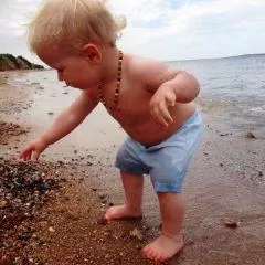 Baby Short  - Basics