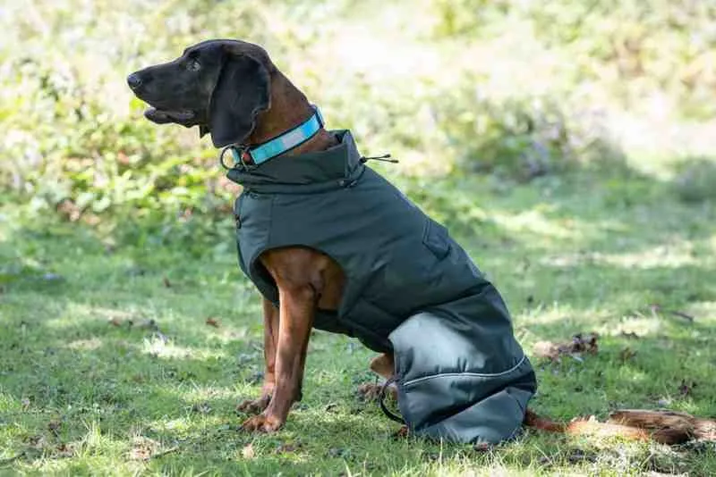 Frostbiter Parka