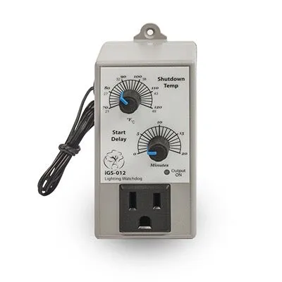 High Temperature Watchdog with Adjustable Delay