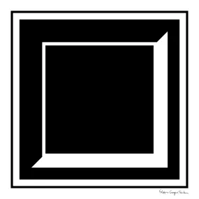 "B&W Perspective Square" scarf 90